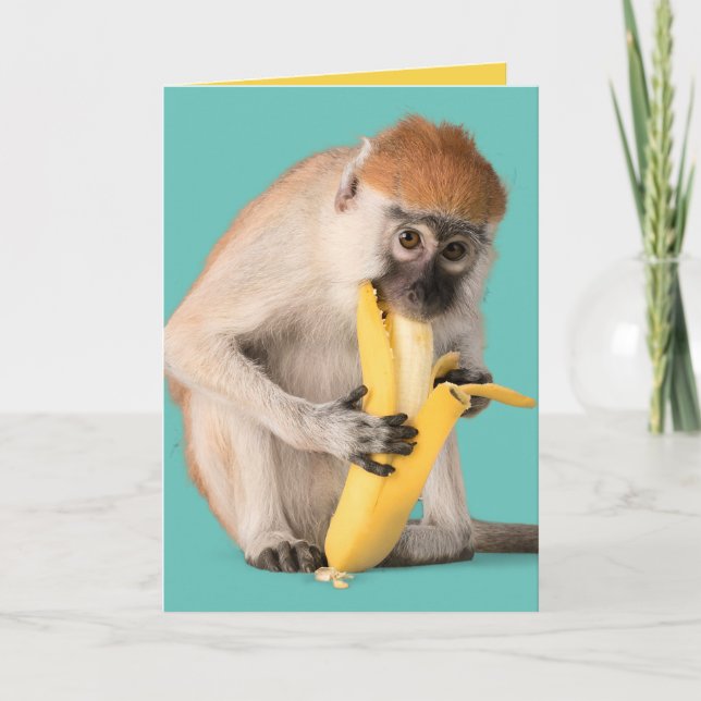 Funny Photo of A Cute Monkey Eating A Banana Card (Front)