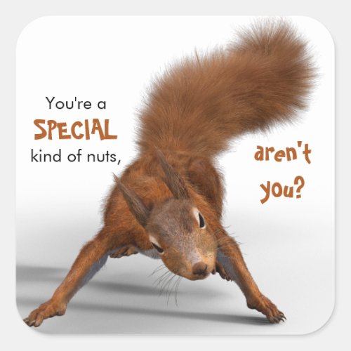 Funny Photo of Red Squirrel  Special Kind of Nuts Square Sticker