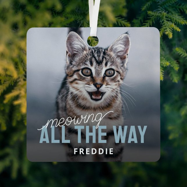 Funny Photo Pet Cat Christmas Metal Ornament (Creator Uploaded)