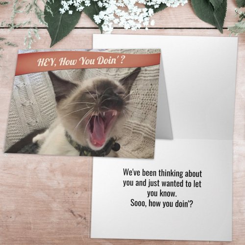 Funny Photo Yelling Siamese Cat How You Doin  Car Card