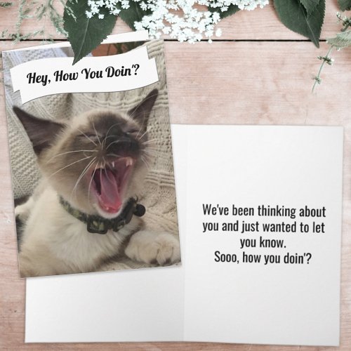 Funny Photo Yelling Siamese Cat How You Doin  Card
