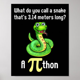 Funny Pi Day Puns Pithon Math Teacher Jokes Women  Poster
