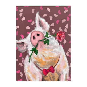 Funny Pig Acrylic Print