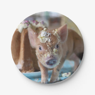 Funny pig and  the cake paper plate