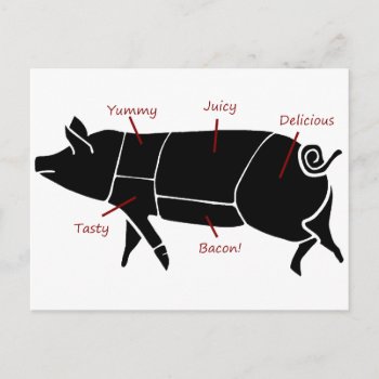 Funny Pig Butcher Chart Diagram Postcard by RedneckHillbillies at Zazzle