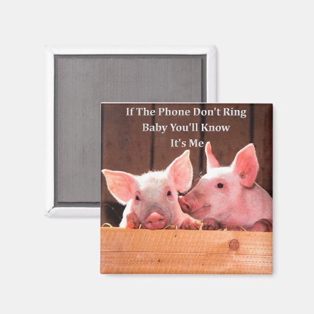 Chapter Piggy Memes Funny Pig Memes With Funny Pig Sayings And