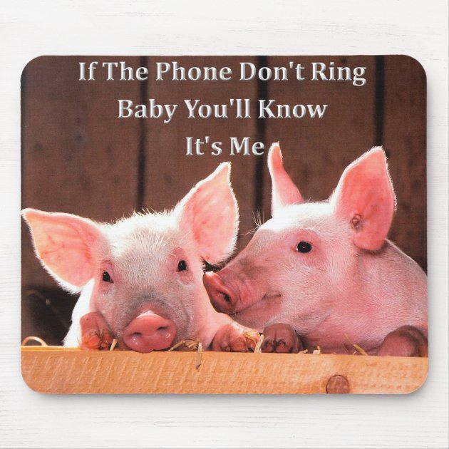 Funny Pig Memes With Funny Pig Sayings And Quotes Mouse Pad Zazzle   Funny Pig Memes With Funny Pig Sayings And Quotes Mouse Pad R5847d1ae8fb54aa3bc9061644dbae568 X74vi 8byvr 630 