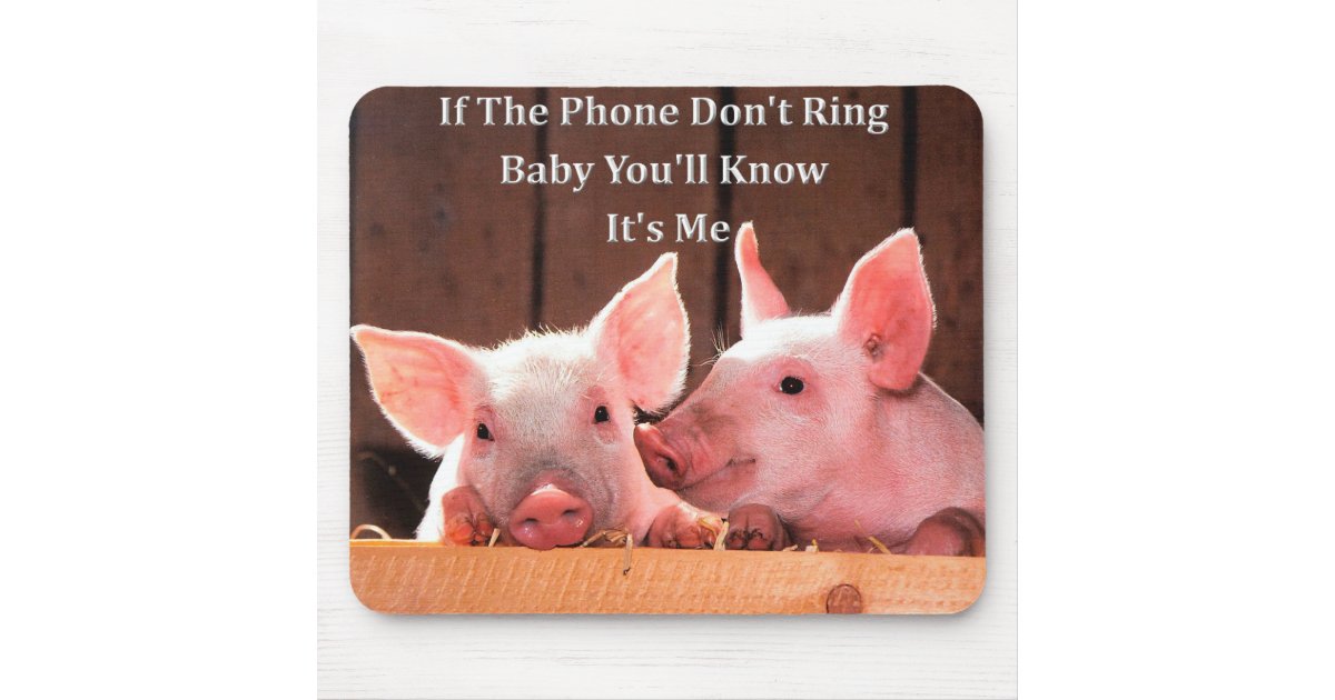 Funny Pig Memes with funny pig sayings and quotes Mouse Pad | Zazzle