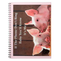 funny pig quotes
