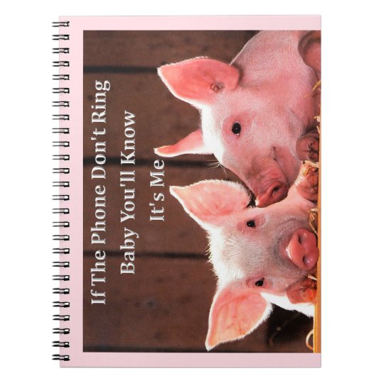 Funny Pig Memes with funny pig sayings and quotes Notebook ...