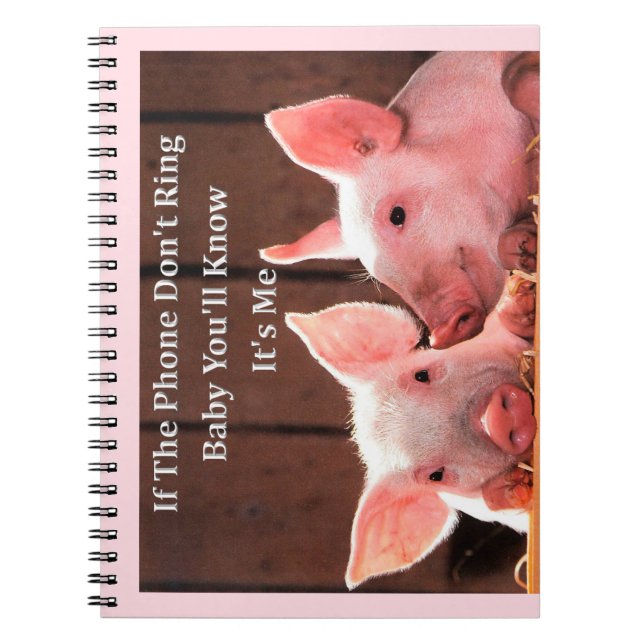 Funny Pig Memes with funny pig sayings and quotes Notebook (Front)