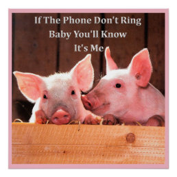 Funny Pig Memes with funny pig sayings and quotes. Poster