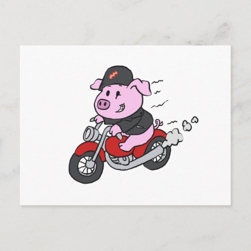 Funny pig riding motorcycle  choose back color postcard