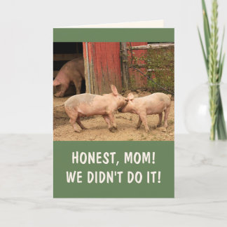 Funny Piglets Barnyard Brawl Mother's Day Holiday Card