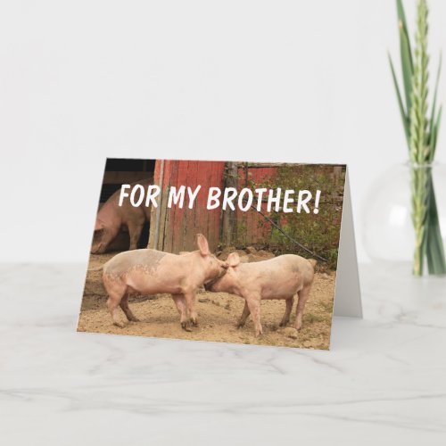 Funny Pigs FOR MY BROTHER Birthday Card