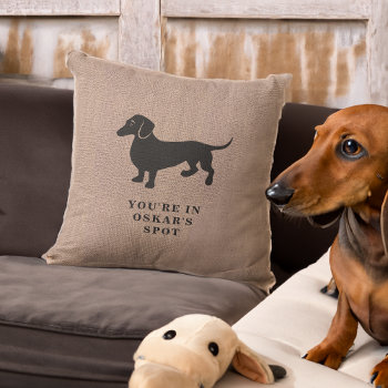 Funny Pillow Marks Dachshund's Spot On The Sofa by AntiqueImages at Zazzle