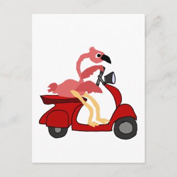 Funny Pink Flamingo Riding Motor Scooter Postcard by patcallum at Zazzle