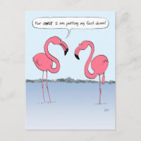Funny Pink Flamingos Cartoon Putting My Foot Down