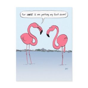 Funny Pink Flamingos Cartoon Putting My Foot Down Postcard