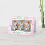 Funny Pink From The Cats Photo Happy Birthday Card