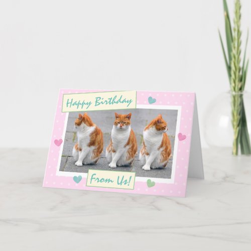 Funny Pink From The Cats Photo Happy Birthday Card