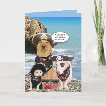 Funny Pirate Pets Birthday Card by myrtieshuman at Zazzle