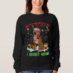 Funny Pitbull Christmas Ugly Sweater Dog Xmas Outf