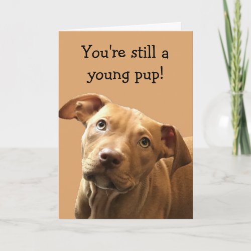 Funny Pitbull Puppy Birthday Card