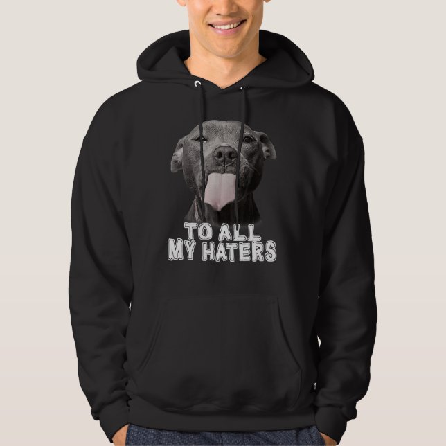 Funny Pitbull To All My Haters Pitbull Dog Lover 1 Hoodie (Front)