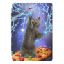 Funny Pizza Cat Rainbow Galaxy Space iPad Pro Cover