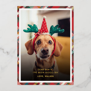 Funny Plaid Dog Pet Photo Christmas Foil Holiday Card