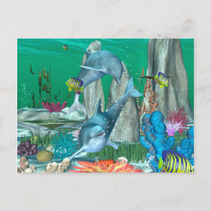 Funny playing dolphins with other fish postcard