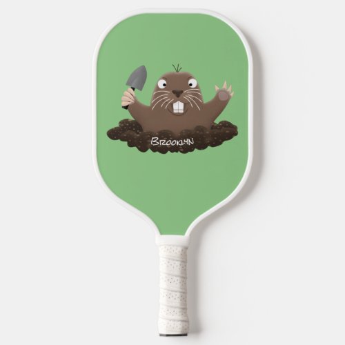 pickleball paddle