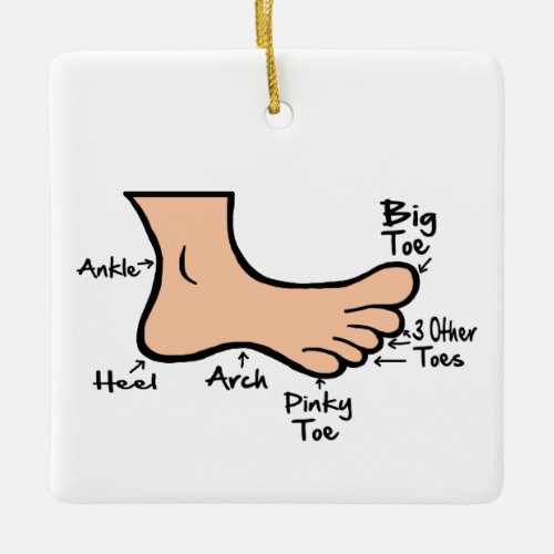 Funny Podiatry Day Foot Diagram Ornament