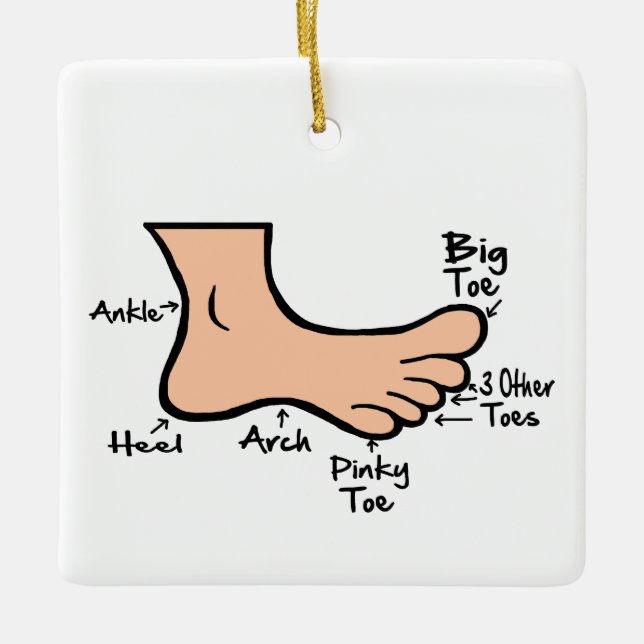 Funny Podiatry Day Foot Diagram Ornament (Front)