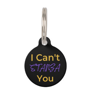 Funny Poetry Pun I Can't STANZA You Literary Pet ID Tag