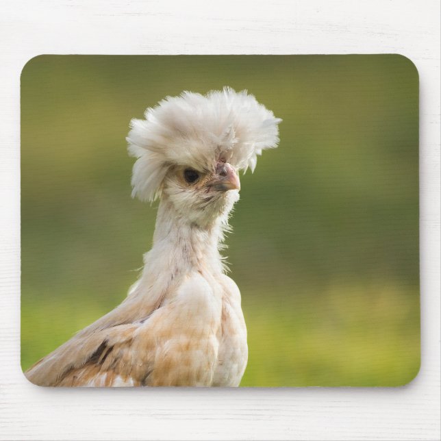 Funny Polish Chicken Mouse Pad (Front)