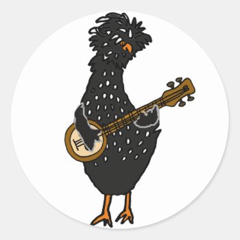 Funny Polish Chicken Playing Banjo Art Classic Round Sticker by naturesmiles at Zazzle