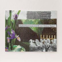 Funny Political Joke Forest Climate Change Satire