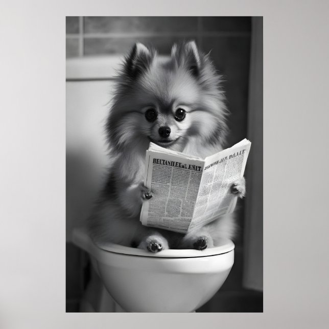 Funny Pomeranian Bathroom Print, Newspaper Reading Poster (Front)