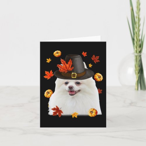 Funny Pomeranian Dog Pilgrim Hat Fall Happy Thanks Card