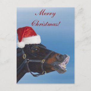 Funny Pony Merry Christmas Holiday Postcard