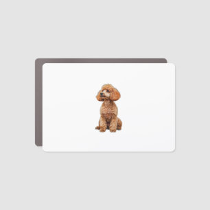 Funny Poodle Animal Lover Dogs Graphic Cute Dog Ow Car Magnet