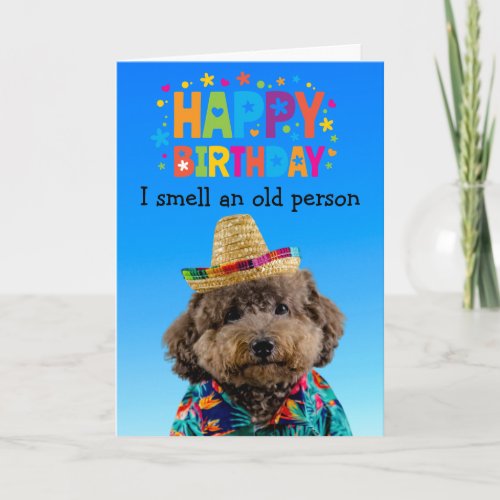 Funny Poodle dog birthday card