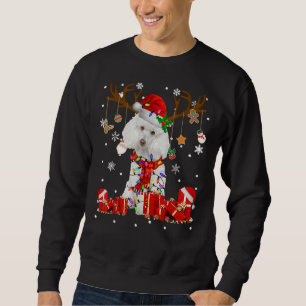 Funny Poodle Dog Reindeer Christmas Light Dog Love Sweatshirt