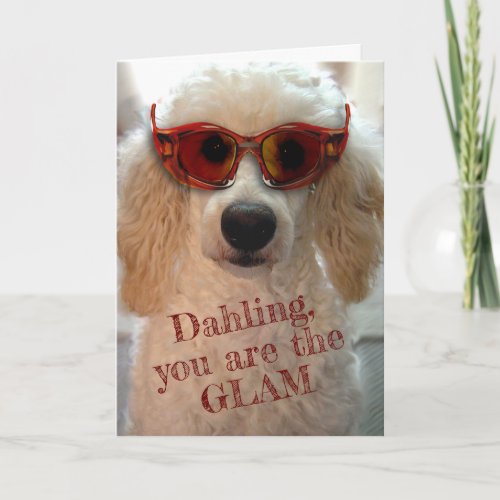 Funny Poodle Wearing Shades Sunglasses Card
