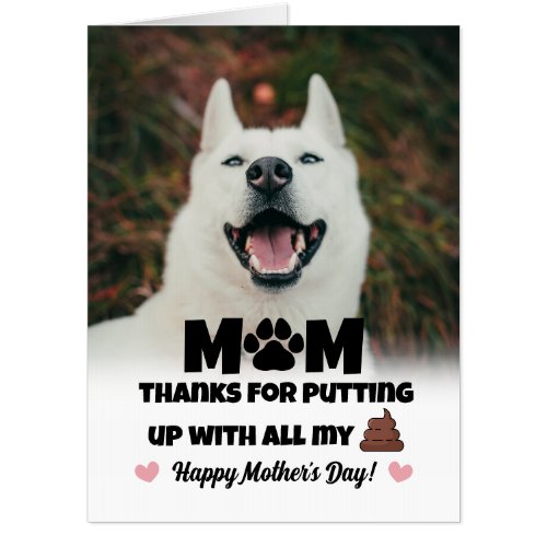 Funny Poop Icon Photo Dog Mothers Day Big Card