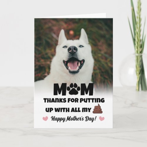 Funny Poop Icon Photo Dog Mothers Day Card
