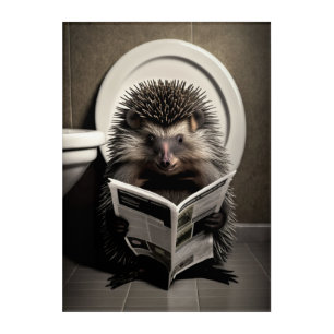 Funny Porcupine on Bathroom Toilet Wild Animals Acrylic Print