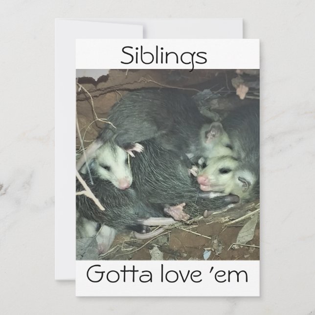 Funny Possum Siblings Holiday Card (Front)